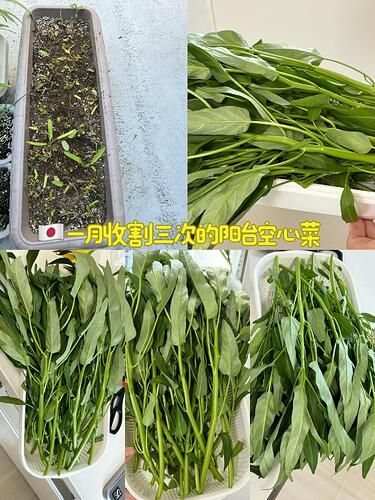 1040g3k0322n3tc9vno2g44qv49adqcc65rovtrg